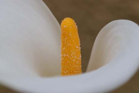 カラー-5（20250522）.jpg